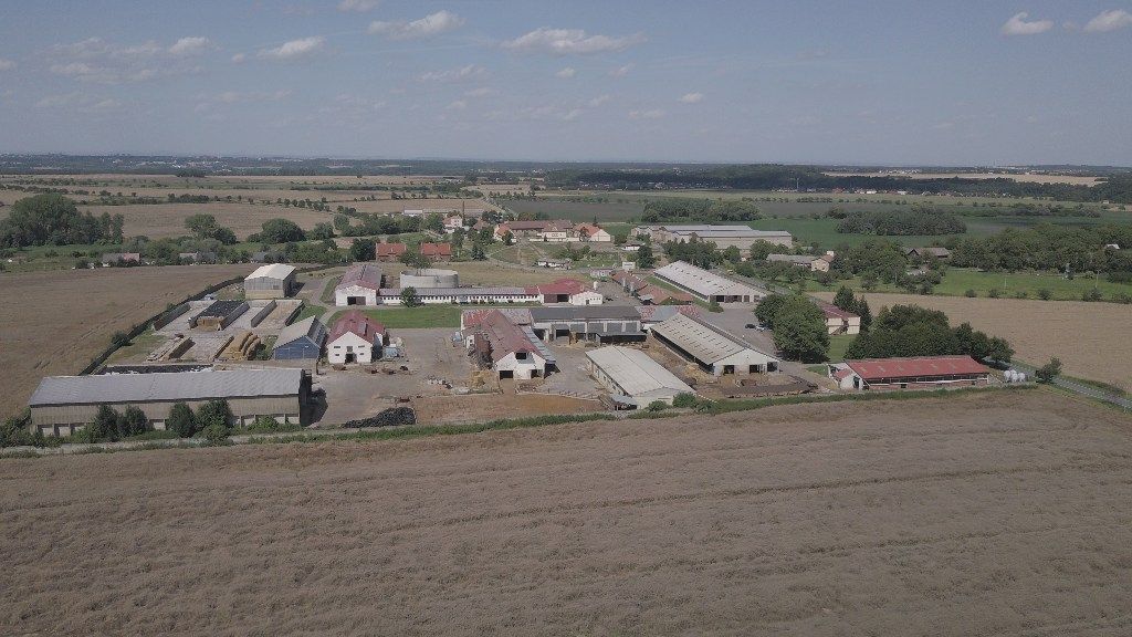 Carrera d´en Bas - Beef cattle organic farm in Spain